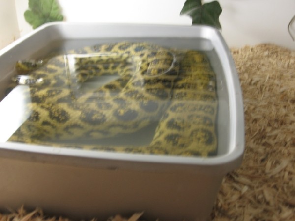 cooling off