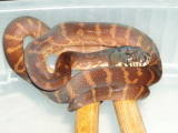 Boelens