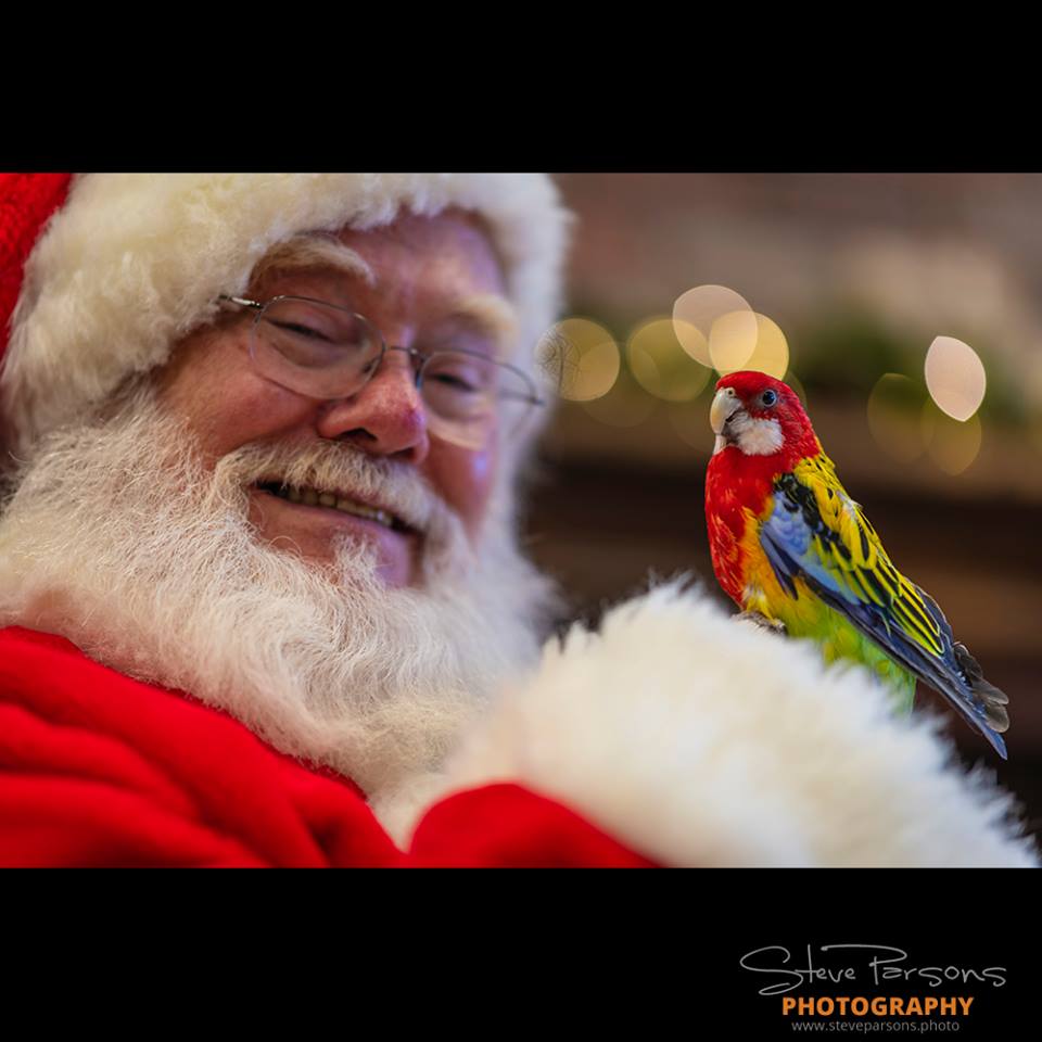 Picasso Visits Santa