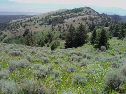 View from the top