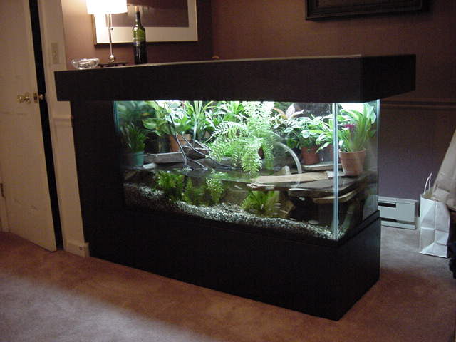 kingsnake.com photo gallery > Cages, Terrariums, Ponds, Aquariums