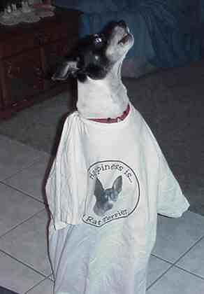 Human Dog