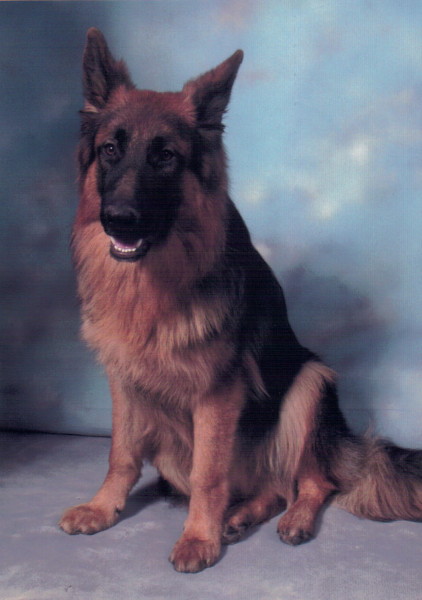 Chaos at 8 months old