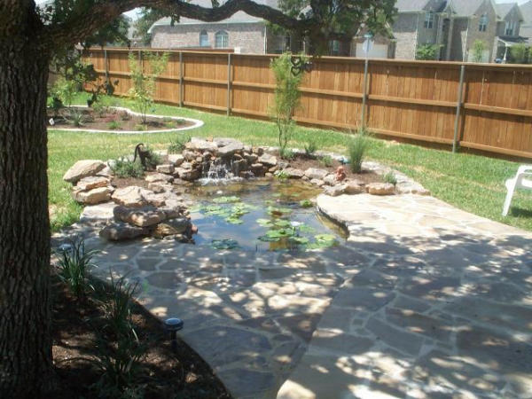 Pond and Water Garden Photos