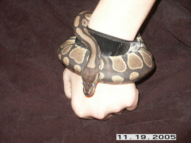 ball bracelet