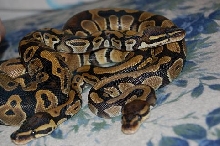 group photo