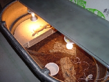 Inside 100 gallon stock tank