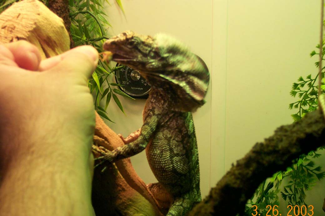 eating