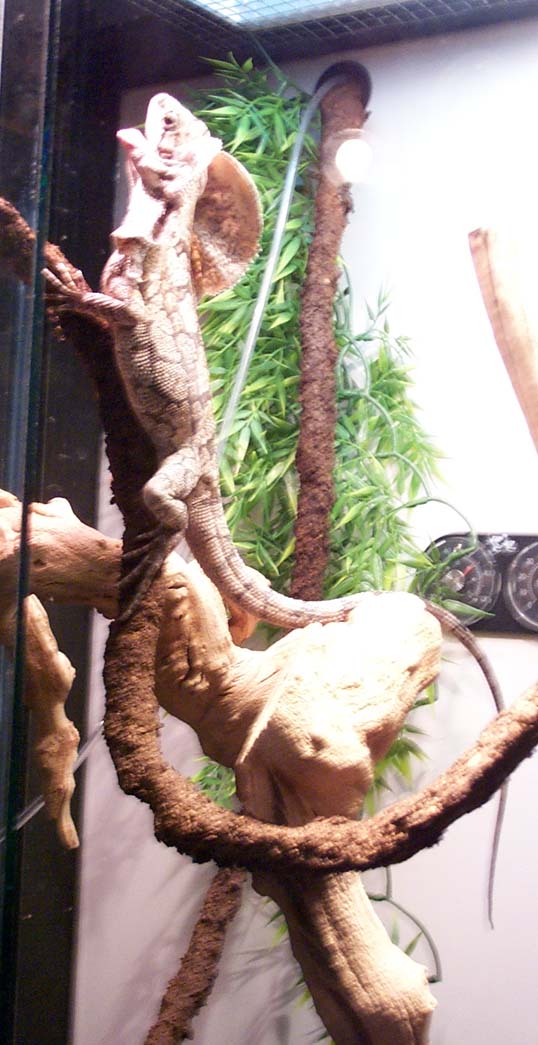 newnew3