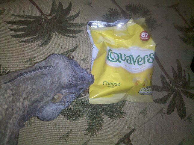 Xan & Quavers