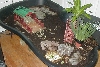 new tort home