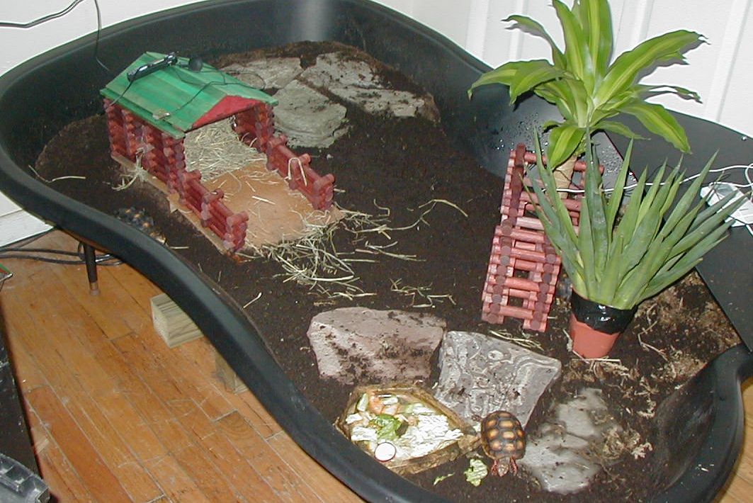 new tort home