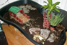 new tort home