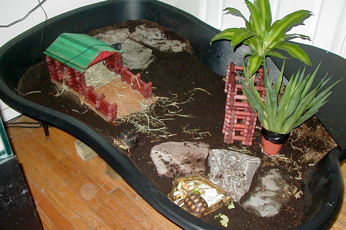 new tort home