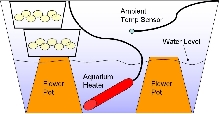 Incubator