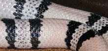 male_ghost