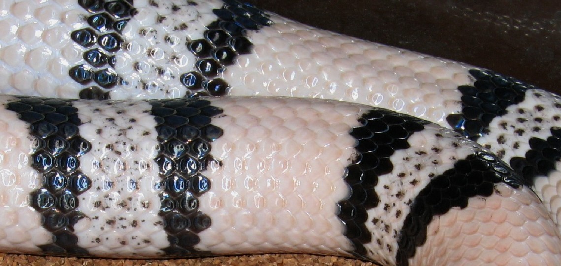 male_ghost