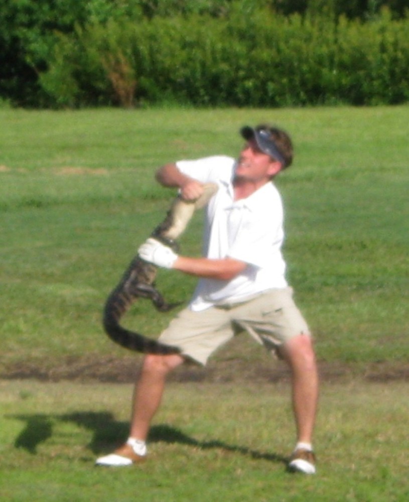 GATOR