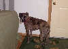 Sadie