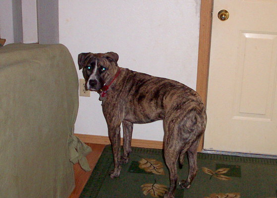 Sadie