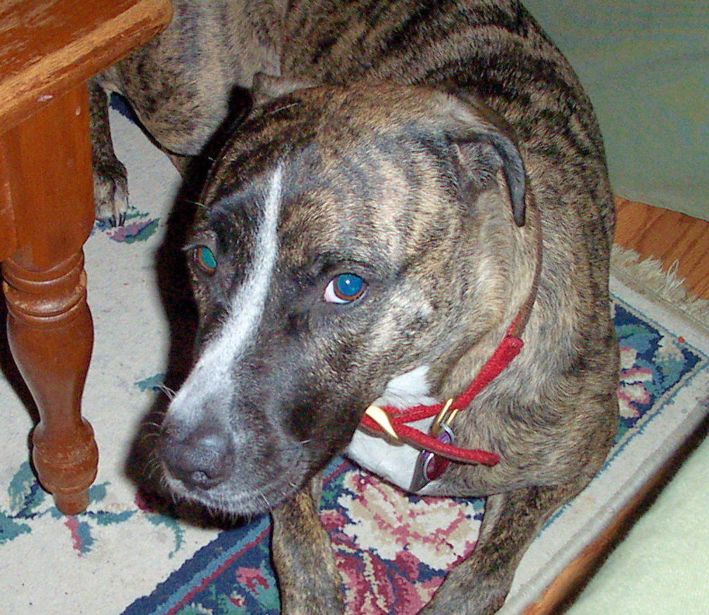 Sadie