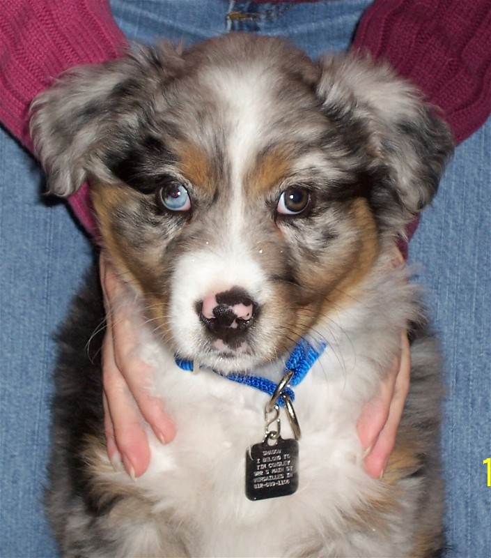 Shadow Closeup - 8 1/2 weeks