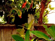 Hiding out