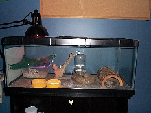 speedys tank close up