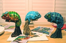 panther chameleons