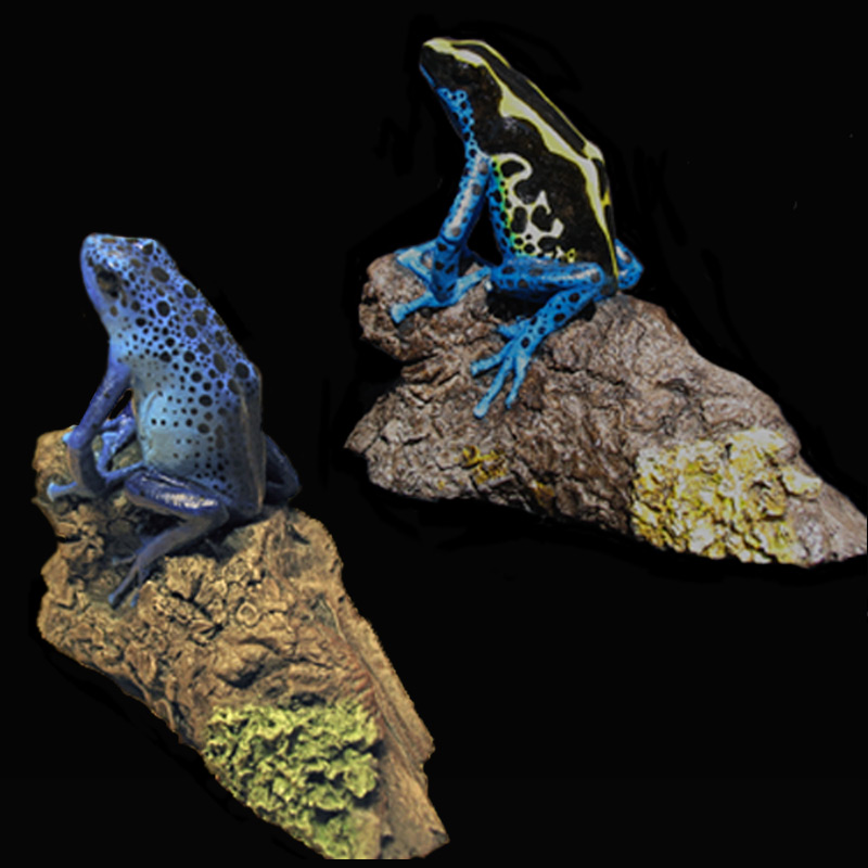 Dendrobates Tincs