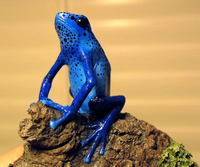 blue dart