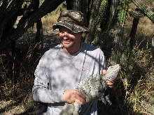 male ricord on Isla Cabritos