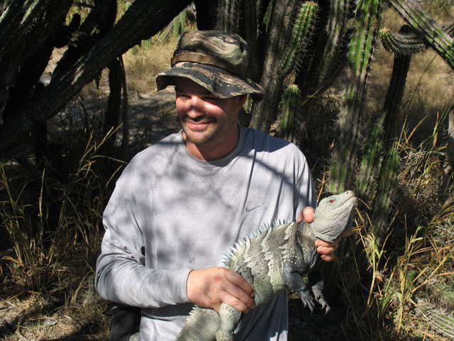male ricord on Isla Cabritos