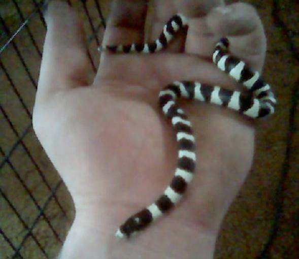his last photo