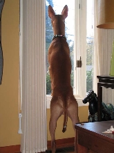 On watch