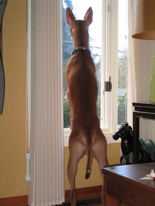 On watch