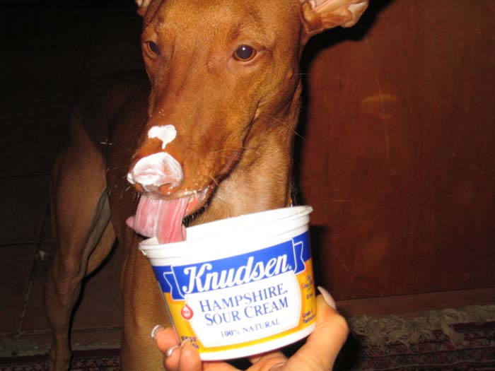 mmmm... sour cream!