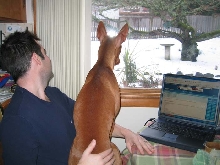 Intense Squirrel Watching