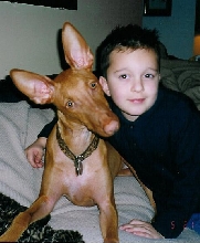 My Two Handsome Boys