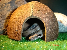 Who´s knocking...