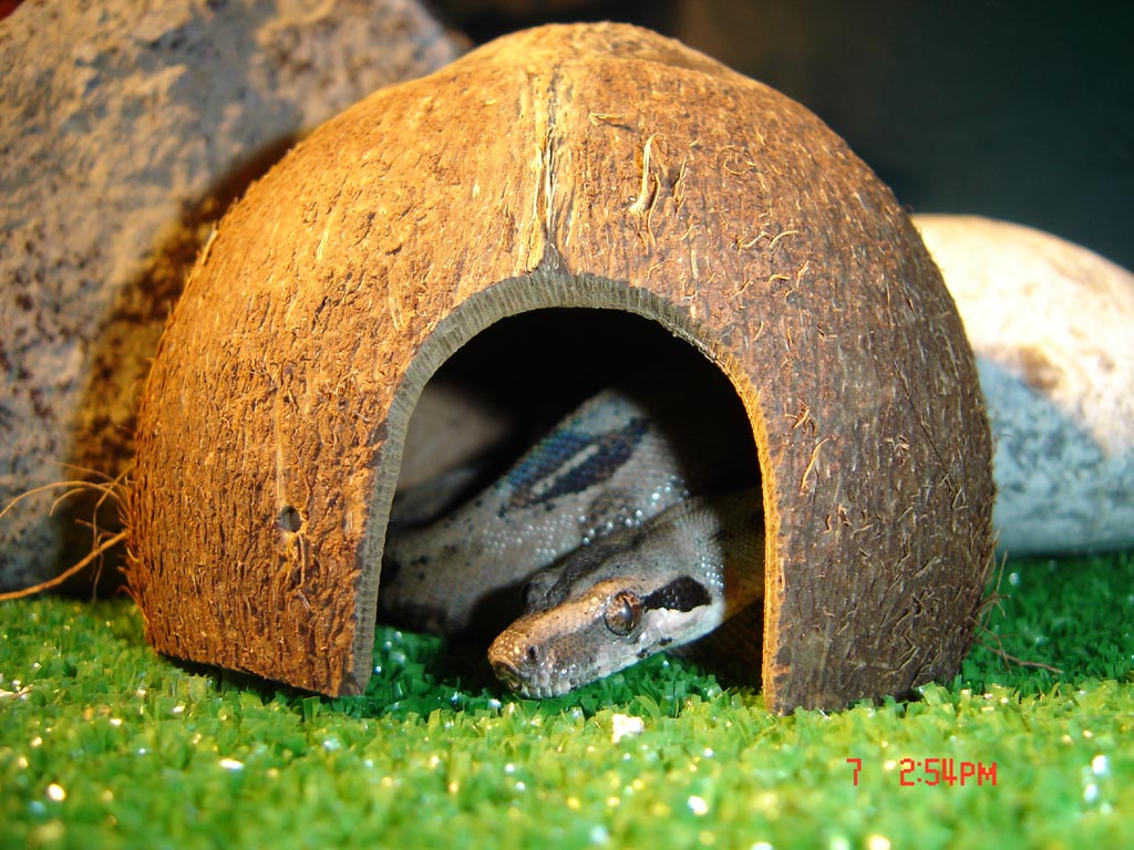 Who´s knocking...