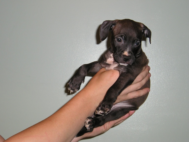 Baby girl at 6 weeks