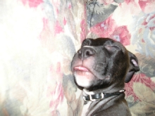 My Baby Girl Sleeping
