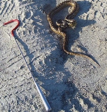 Idea of size
