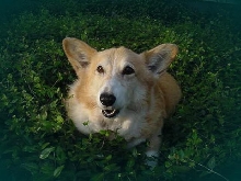 Molly