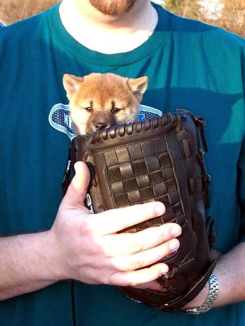 Mika in Daddy's baseball mitt- April 2004