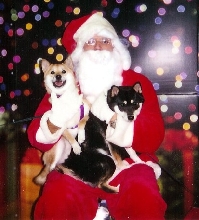 Puppies with Santa