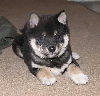 Again from his first day home....