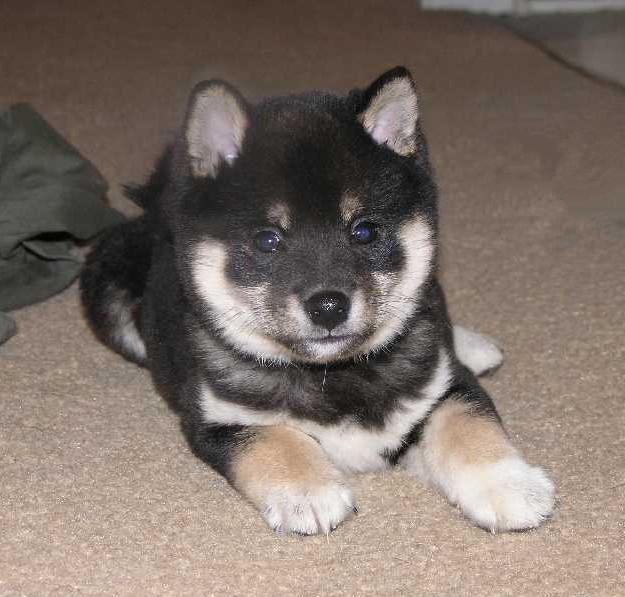 Again from his first day home....