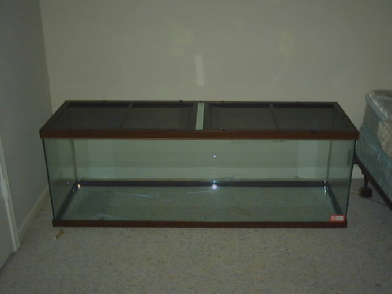cage 1